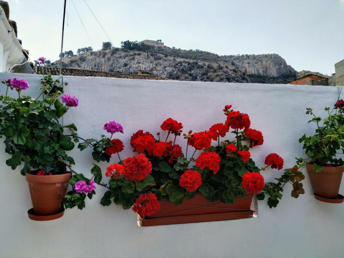 Apartamento Entero "El Casco Antiguo" Vt-46811-V Xàtiva Zewnętrze zdjęcie
